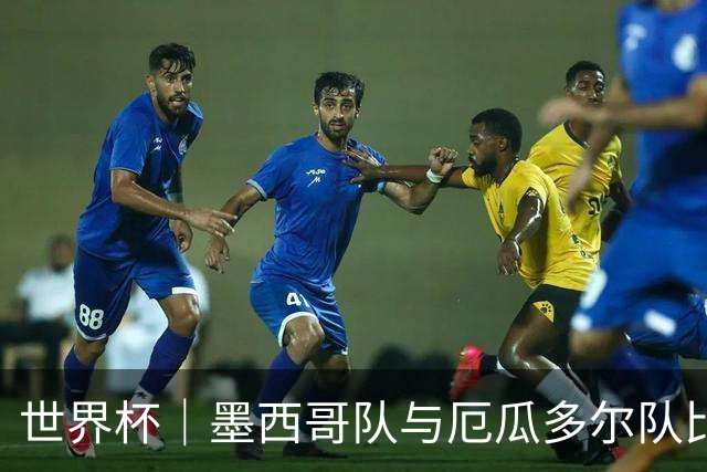 世界杯｜墨西哥队与厄瓜多尔队比赛因雷雨延迟