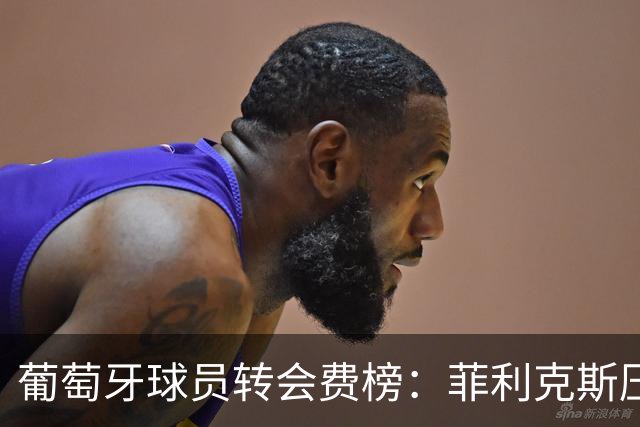 葡萄牙球员转会费榜：菲利克斯压C罗居首 M费、G·拉莫斯列前五